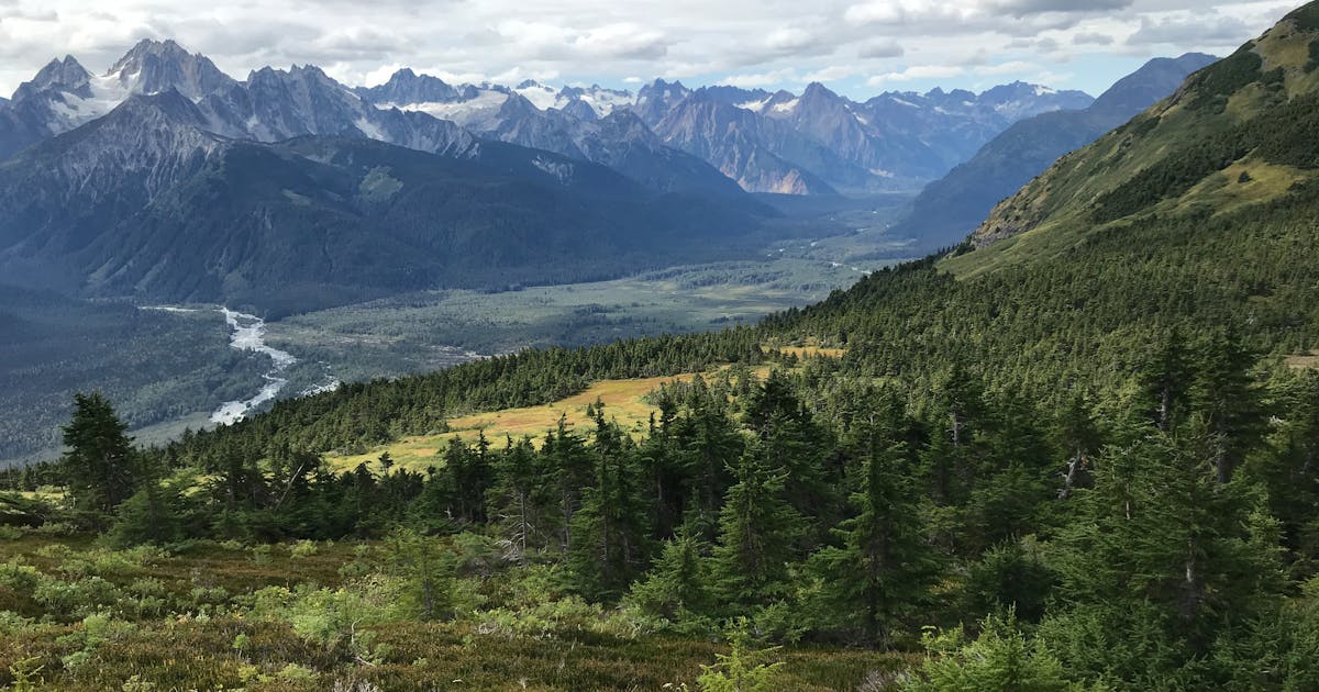 Alaska cityscape